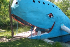 Blue Whale in OK