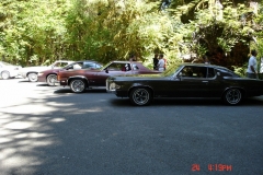 We traveled 101 along the coast. Stopped at park to check out the rain forest.